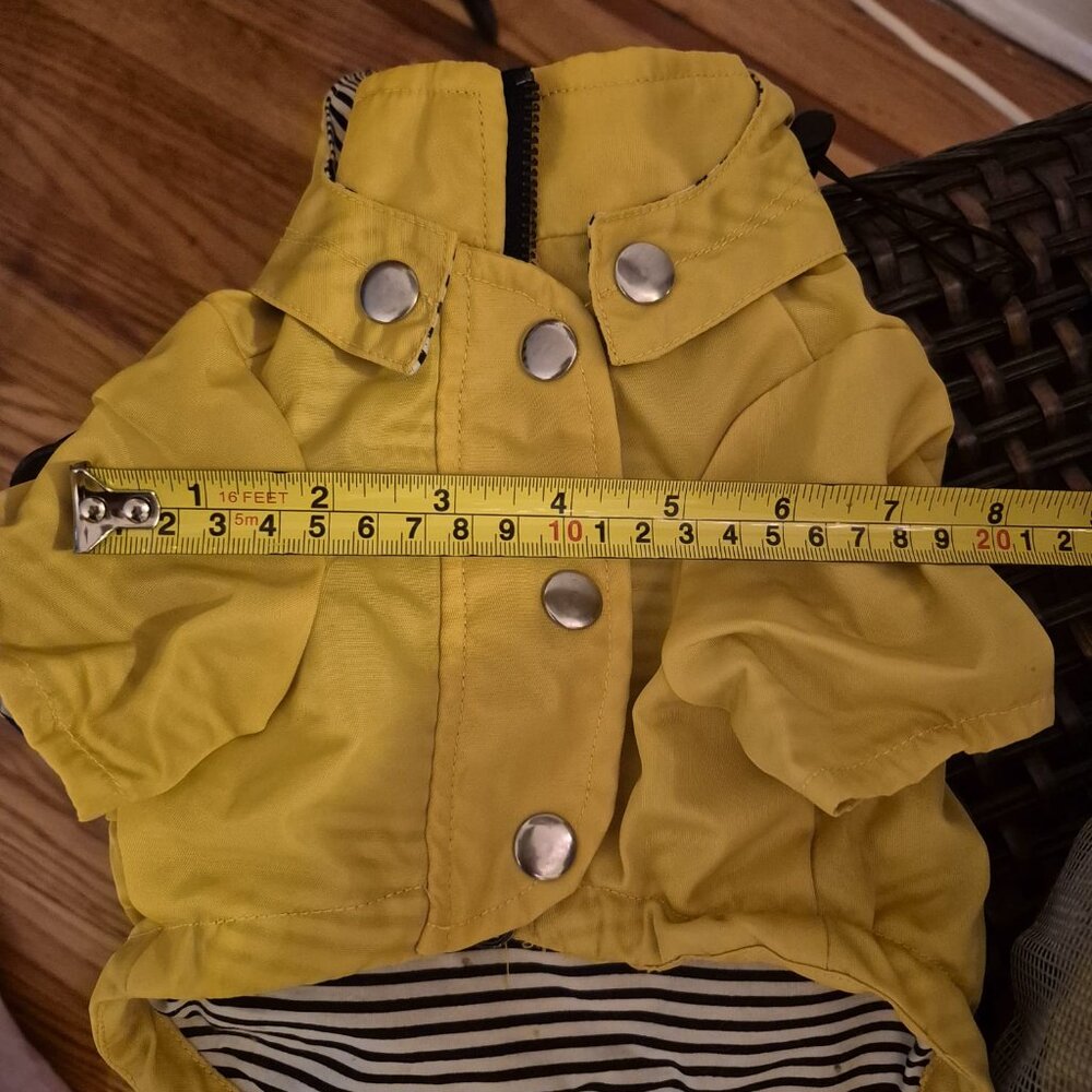 🐩 Clothes and Accessories for Dog Size S or XS - Post 1 of 2 - Picture 3 of 16